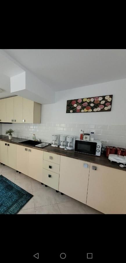 Casa Liana Hotel Szászbuda Kültér fotó